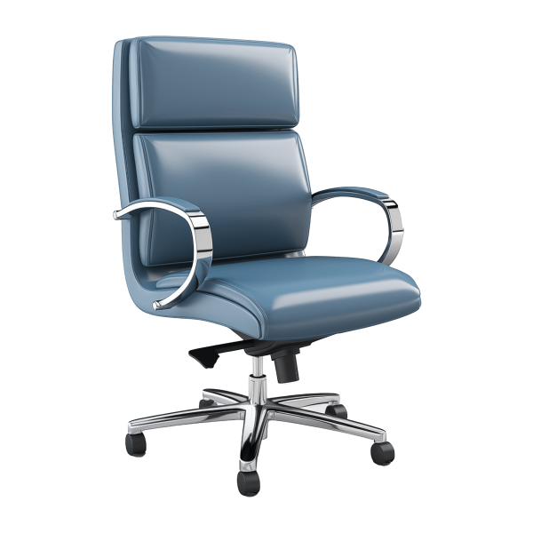 Executive Desk Chair